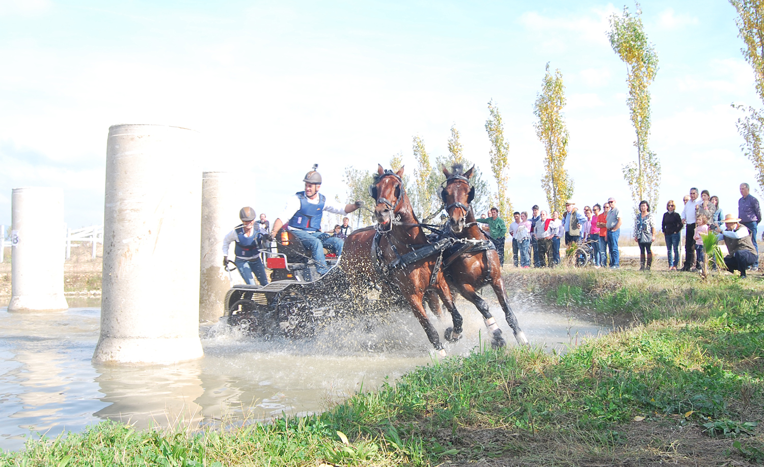 Emocionante Final del Campeonato Navarro de Enganches